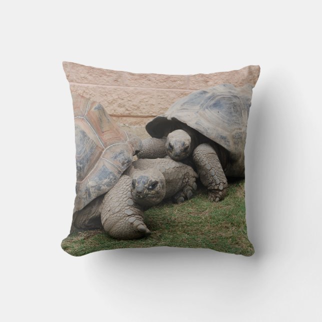 riesige Schildkröten Kissen (Vorderseite)