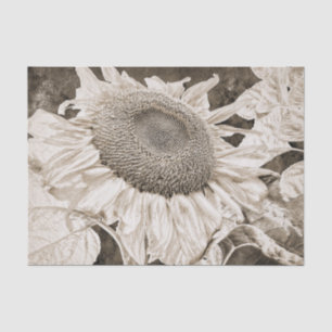 Riesige Sonnenblumen Sepia-Braun-Textur-Kunst-Deco Seidenpapier