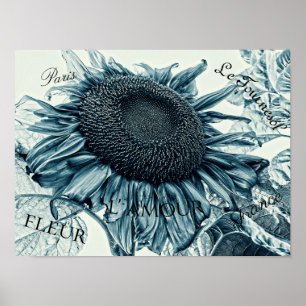Riesige Sonnenblumen Vintage Art Türkisblaue Ephem Poster