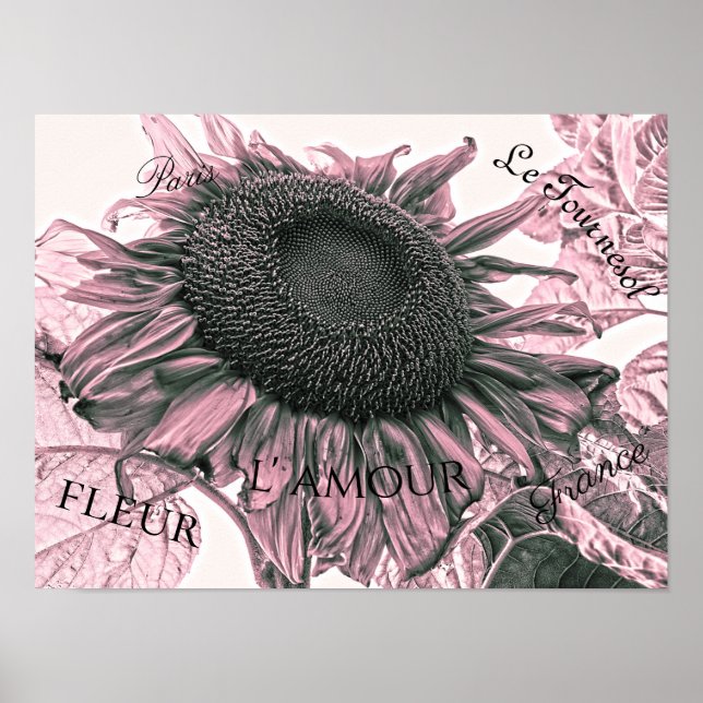 Riesige Sonnenblumen Vintage Rosé Schrift Kunst Poster (Vorne)