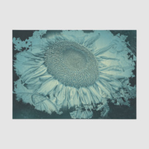 Riesige Sonnenblumen Vintage Türkis Vignette Textu Seidenpapier