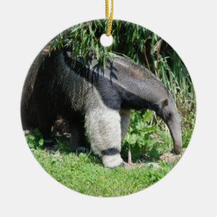 Riesiger Anteater-Verzierung Keramik Ornament