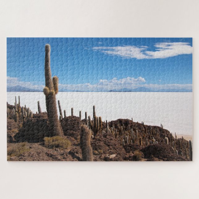 Riesiger Kaktus im Salar de Uyuni in Bolivien (Horizontal)