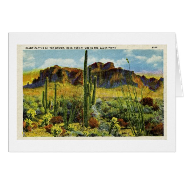 Riesiger Kaktus in der Wüste - Vintage Postkarte (Vorderseite (Horizontal))