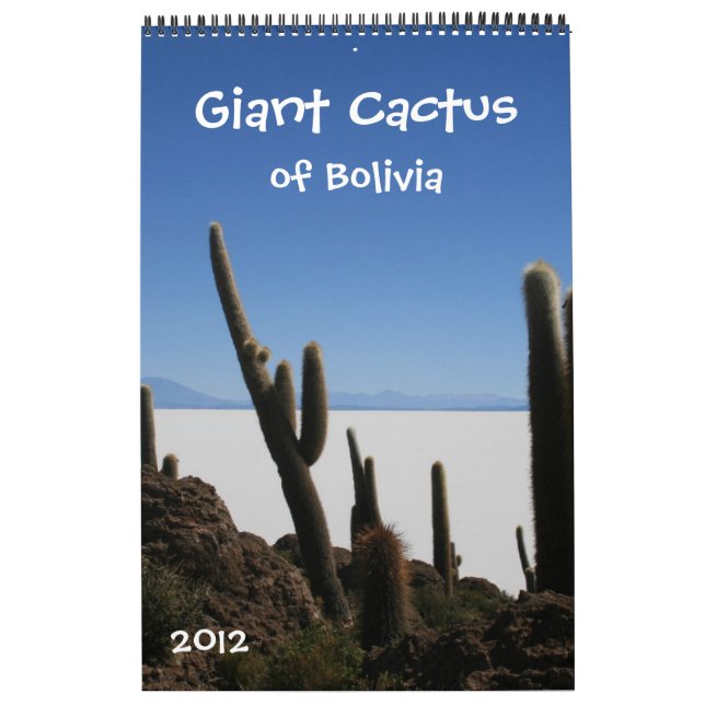 riesiger Kaktuskalender 2012 Kalender (Titelbild)