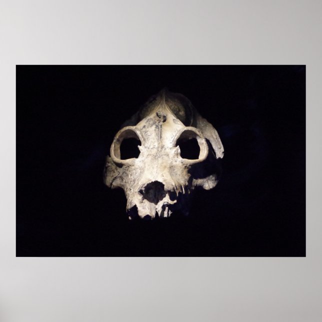 Riesiger Lemur Poster (Vorne)