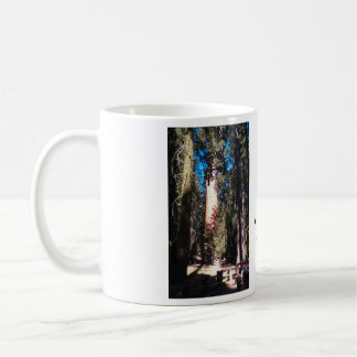Riesiger Mammutbaum-Baum General-Sherman Kaffeetasse