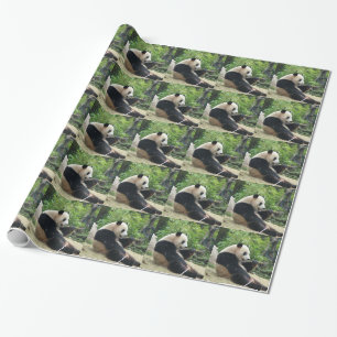 Riesiger Panda, der Bambus isst. Geschenkpapier