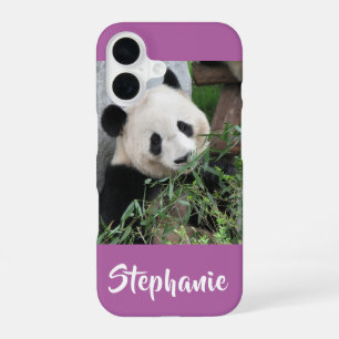 Riesiger Panda, Orchidee, Lila, Name iPhone 16 Hülle