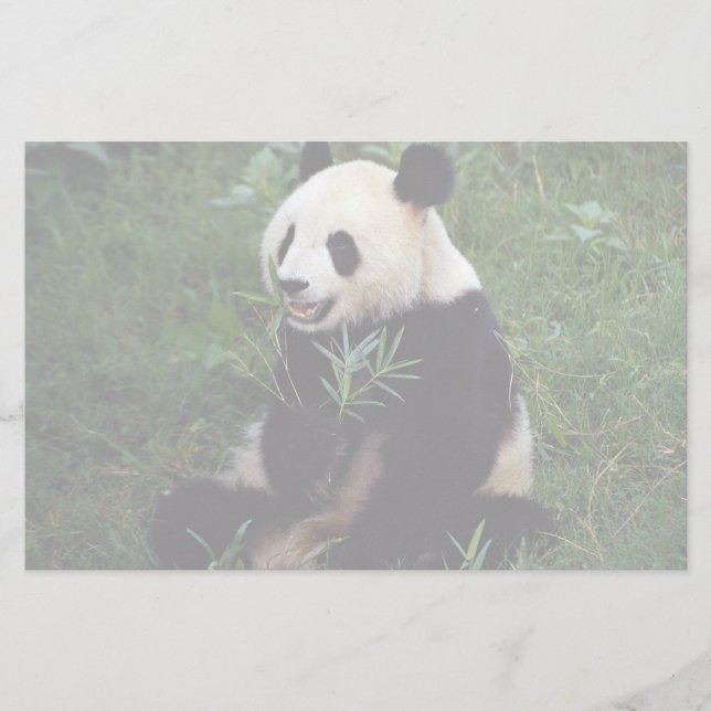 Riesiger Panda, Sichuan-Provinz, China Briefpapier (Vorderseite)