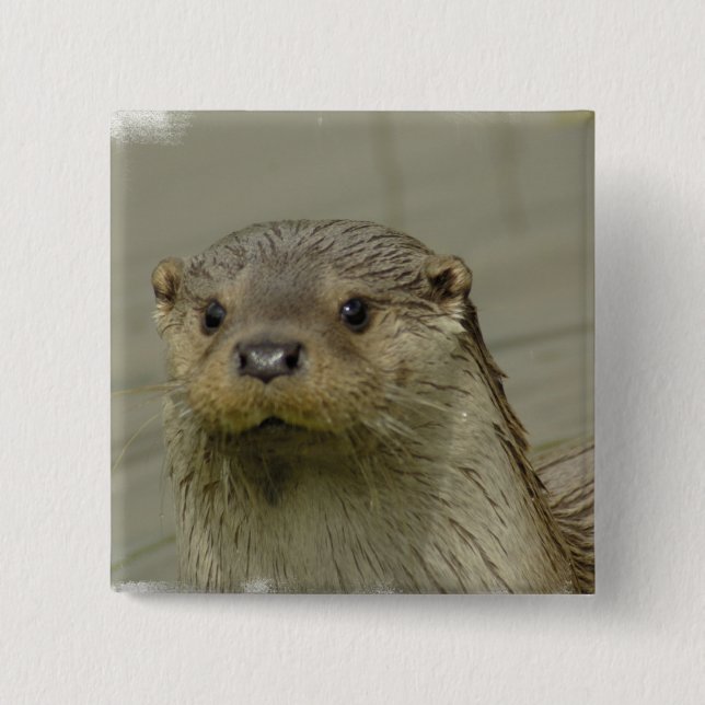 Riesiges Fluss-Otter-Button Button (Vorderseite)