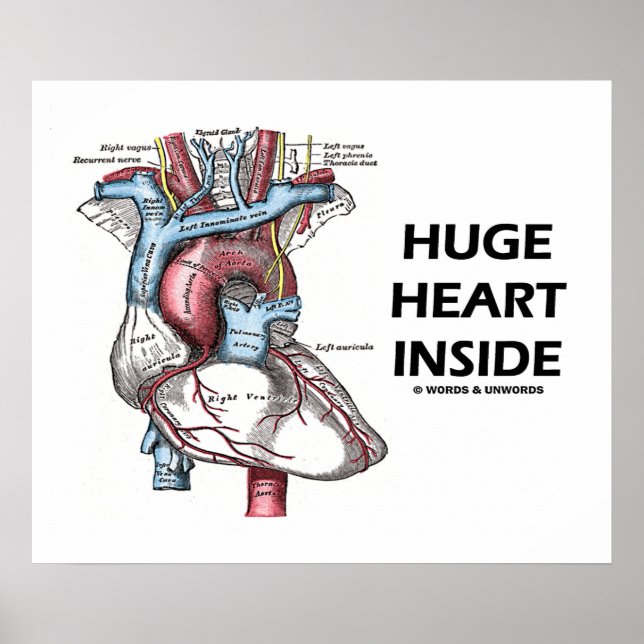 Riesiges Herzinnern (anatomisches Herz) Poster (Vorne)