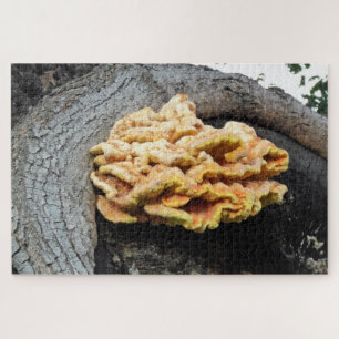 Riesiges Myzel-Puzzle des Schwefelporlings