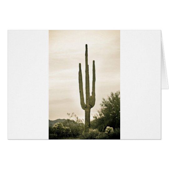 Riesiges Saguaro Sonoran Wüsten-Porträt Karte