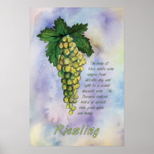 Riesling Weißer Wein Weintrauben Poster