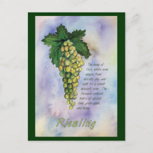 Riesling White Weintrauben Postkarte
