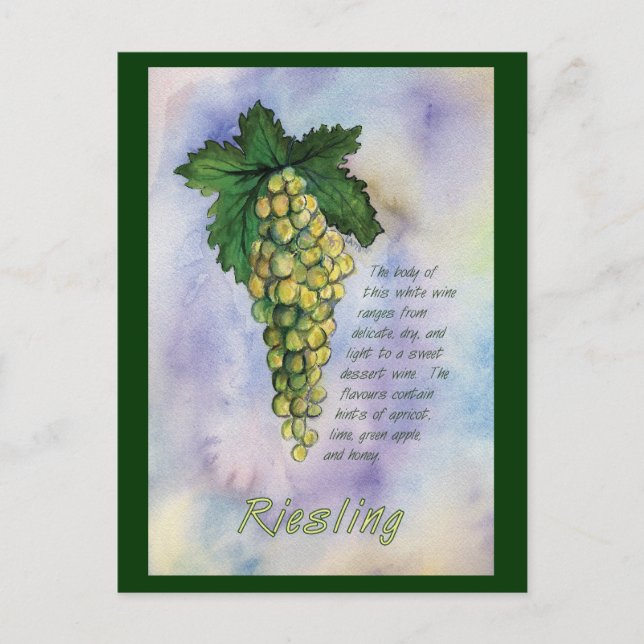 Riesling White Weintrauben Postkarte (Vorderseite)