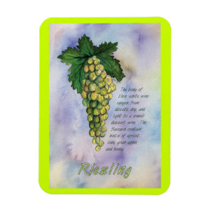 Riesling Wine tasting in der Fattoria Moncucchetto Magnet