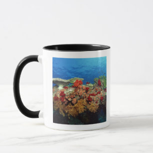 Riff landschaftlich von den harten Korallen, Tasse