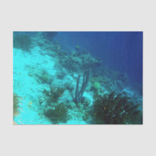 Riff-Rand Seidenpapier