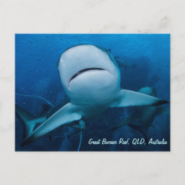 Riff Shark Great Barrier Reef Korallenriff Geschen Postkarte