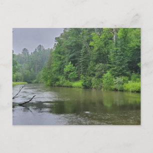 Rifle River, West Branch, Michigan Postkarte