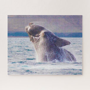 Right Whale Jigsaw Puzzle
