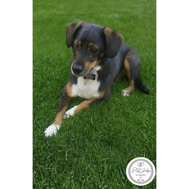 Riley Seidenpapier (Von Creator hochgeladen)