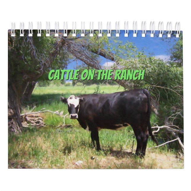 Rinder auf der Ranch Kalender (Titelbild)