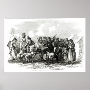 Rinder für Rent Poster