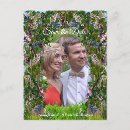 Rinder, Honeysuckles und Hummingbirds Ankündigungspostkarte