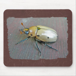 Rinder-Käfer (Pelidnota punctata) Reihe Mousepad