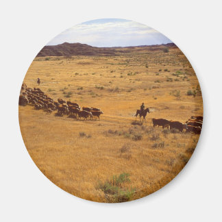 Rinder Magnet