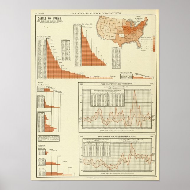 Rinder Poster (Vorne)