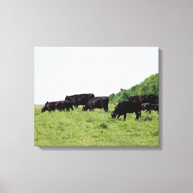 Rinder Schwarzer Winkel Wrapped Canvas Leinwanddruck (Vorderseite)