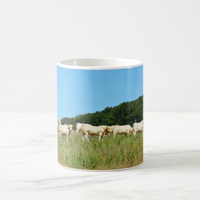 Rinderbestand Kaffeetasse (Mittel)