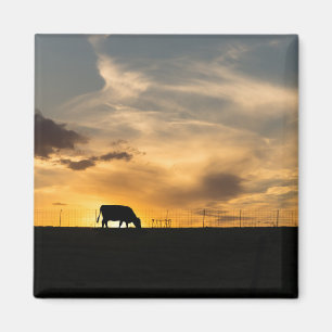 Rindersonne Silhouette Magnet