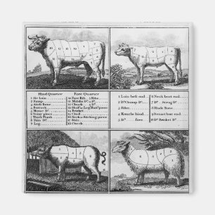 Rindfleisch, Kalbfleisch, Schweinefleisch und Magnet