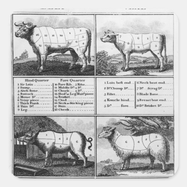Rindfleisch, Schweinefleisch und Mutton, 1802 Quadratischer Aufkleber (Vorderseite)