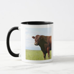 Rindfleischkuh auf dem Gebiet Tasse