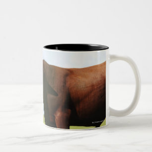 Rindfleischkuh auf dem Gebiet Zweifarbige Tasse