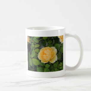 Rindropfen auf Gelben Rose Kaffeetasse
