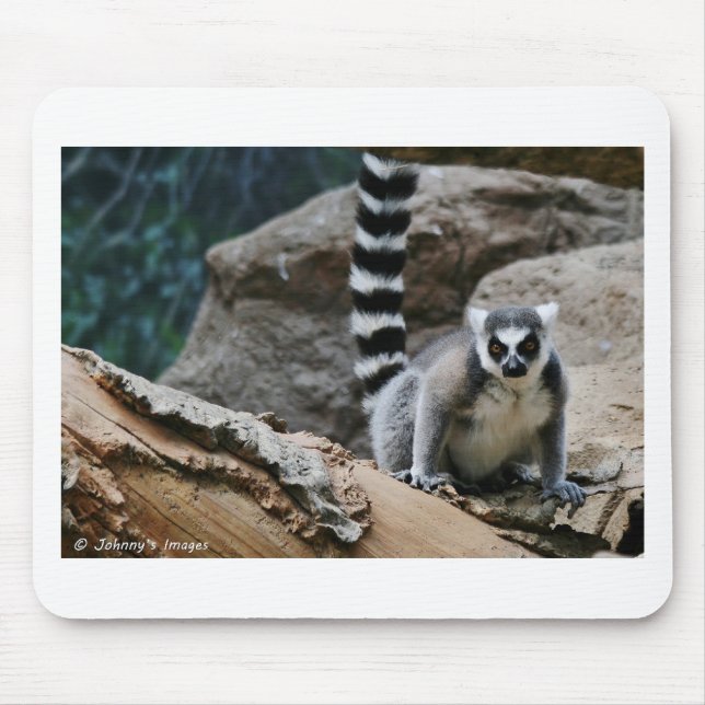 Ring angebundener Lemur Mousepad (Vorne)