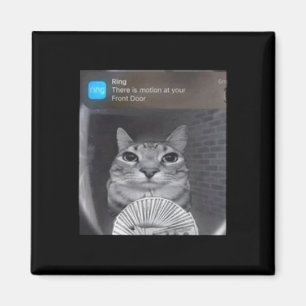 Ring Cat mit Motion Meme Magnet
