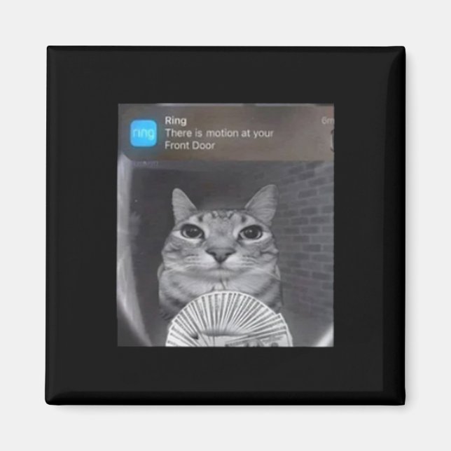 Ring Cat mit Motion Meme Magnet (Vorne)