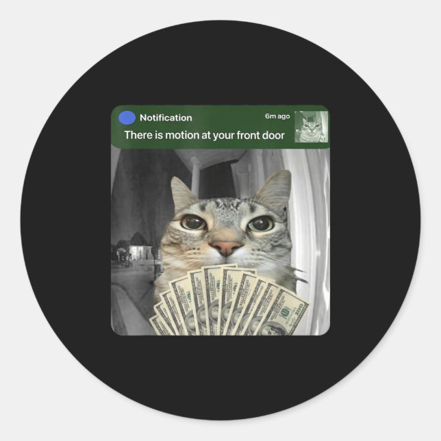 Ring Cat With Motion Meme  Runder Aufkleber (Vorderseite)