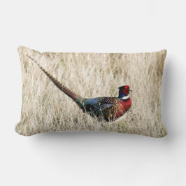 Ring Neck Pheasant auf der Wiese Lendenkissen