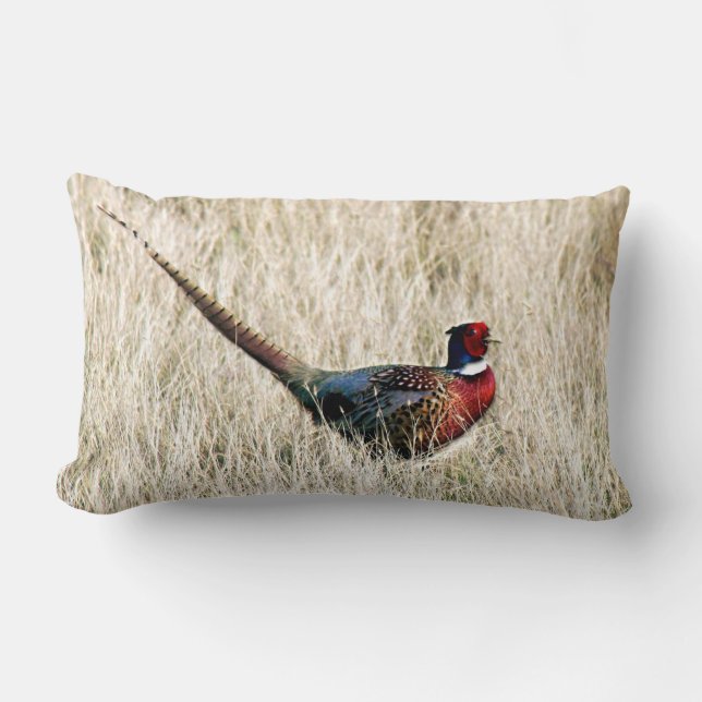 Ring Neck Pheasant auf der Wiese Lendenkissen (Vorderseite)