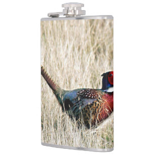 Ring Neck Pheasant in Meadow Flachmann