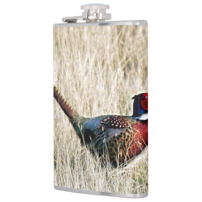 Ring Neck Pheasant in Meadow Flachmann (Links)
